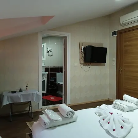 Nexus By Taksim Hotel *