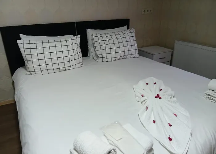 Nexus By Taksim Hotel *